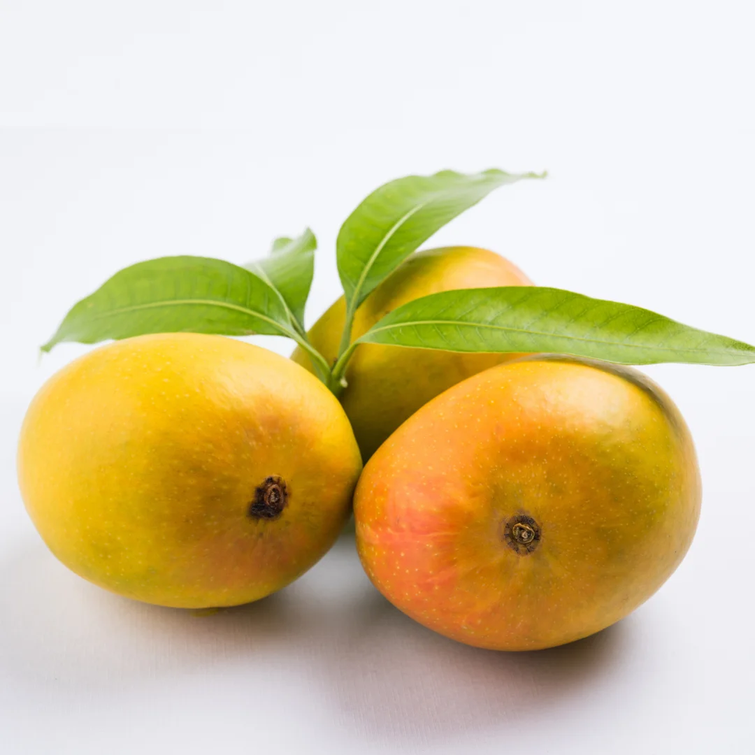 Ratnagiri Alphonso Mango Jumbo 250-280g